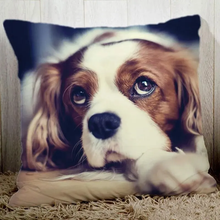 Lade das Bild in den Galerie-Viewer, Photo Cushion Cover
